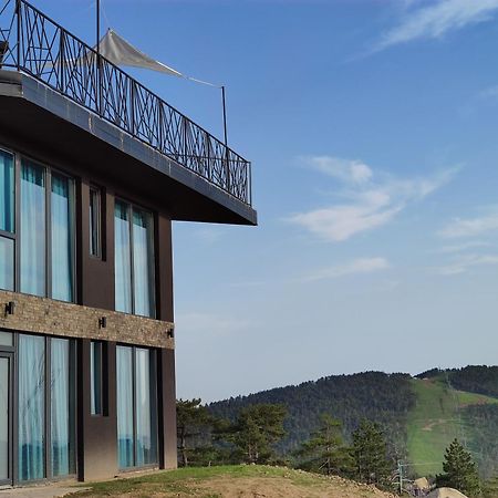 Vila Onyx Divčibare Exterior foto